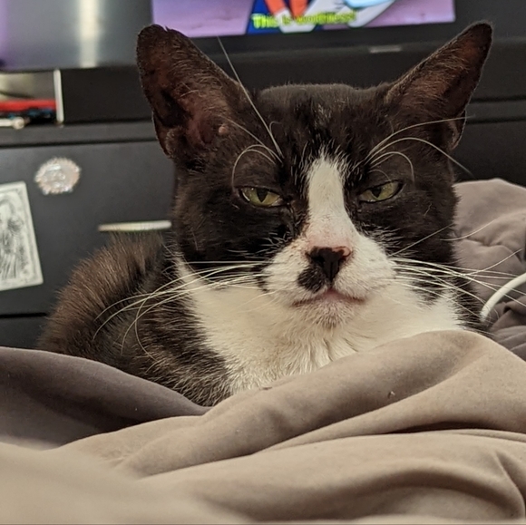 Meet your Posher, Alex - Picture 2 of 3